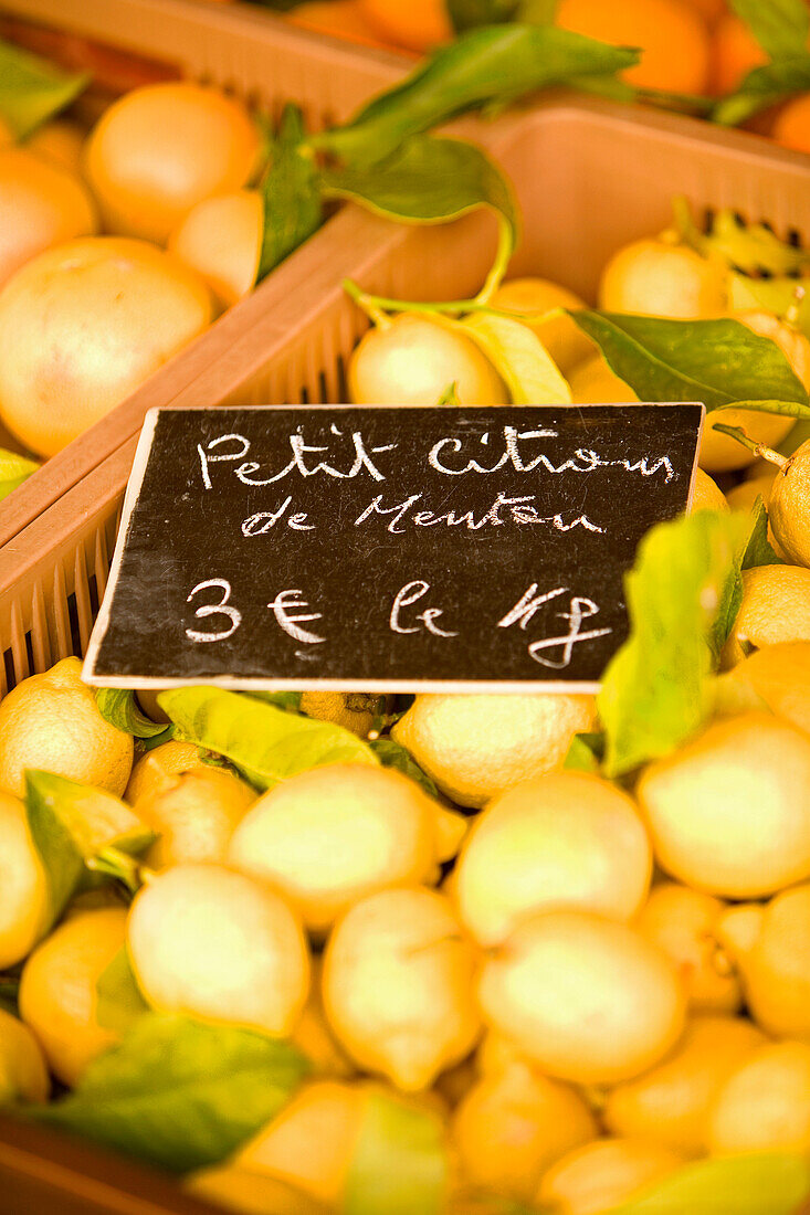 France, Alpes Maritimes, Menton, market in front of the municipal covered market, lemon