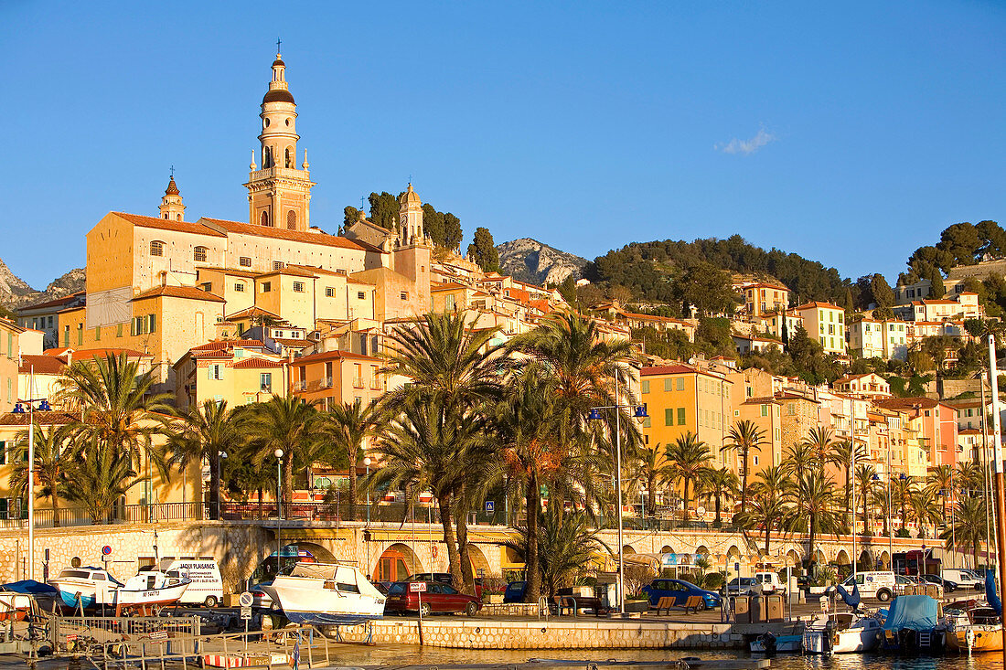 France, Alpes Maritimes, Menton, Basilique Saint Michel (Saint Michael basilica)