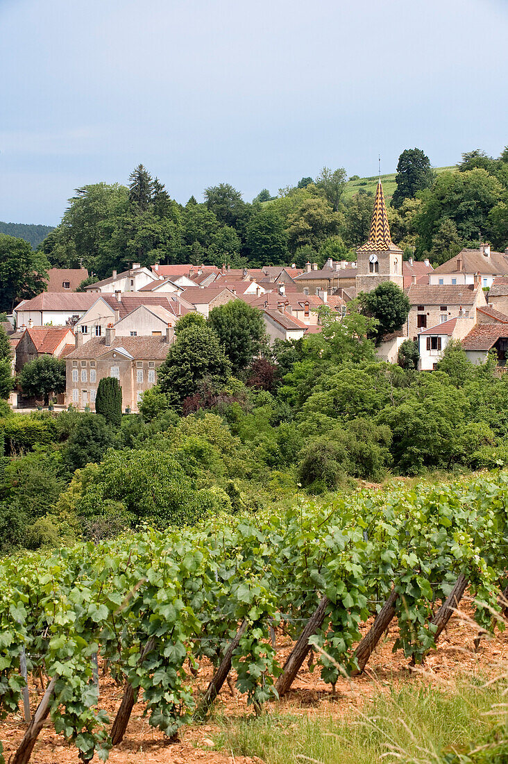 Frankreich, Côte d'Or, Pernand Vergeles, das Dorf