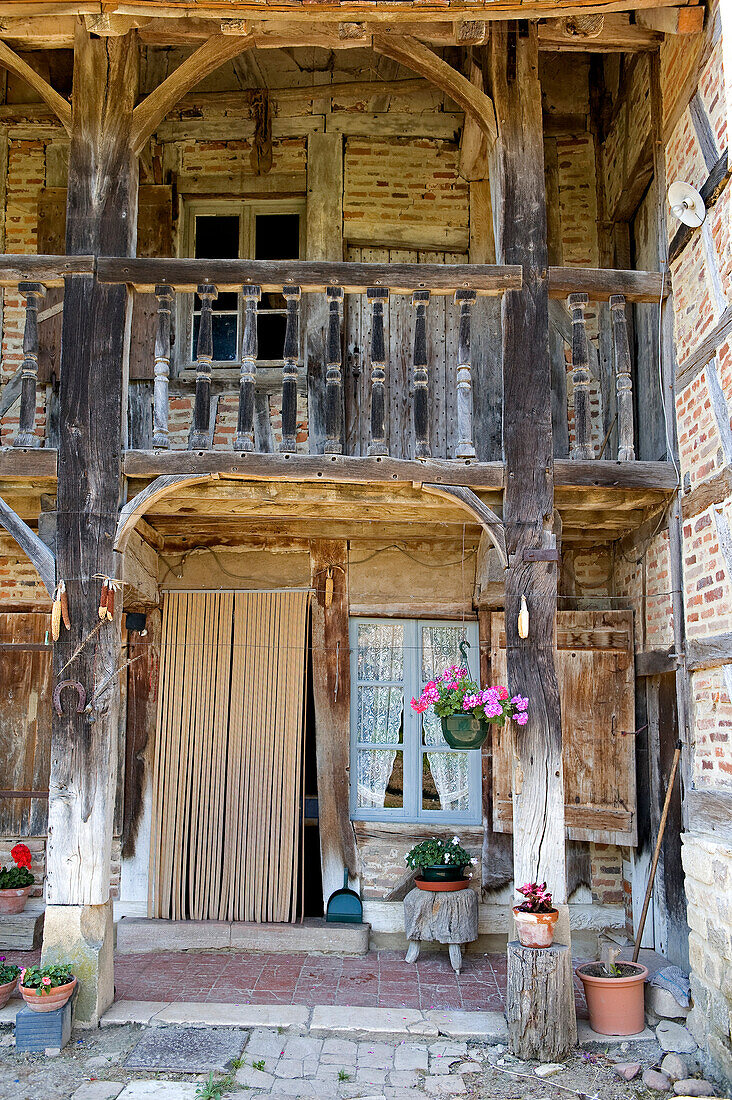 Frankreich, Saône et Loire, Juif, La Grange Farm Grosse Bressane traditionellen Boden und bewaldeter