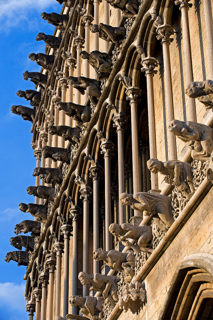 Frankreich, Côte d'Or, Dijon, Notre Dame (1230 1250), dreifache Reihen von falschen gargoyles Crane