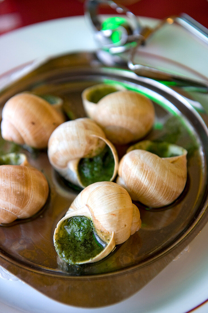 Frankreich, Côte d'Or, Dijon, Burgund Schnecken