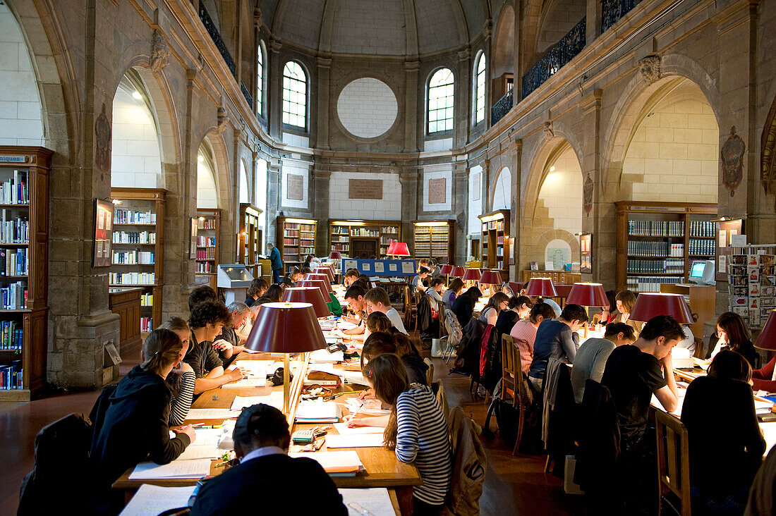 Frankreich, Côte d'Or, Dijon, Bibliothek, Leseraum in der alten Kapelle des College of Godrans