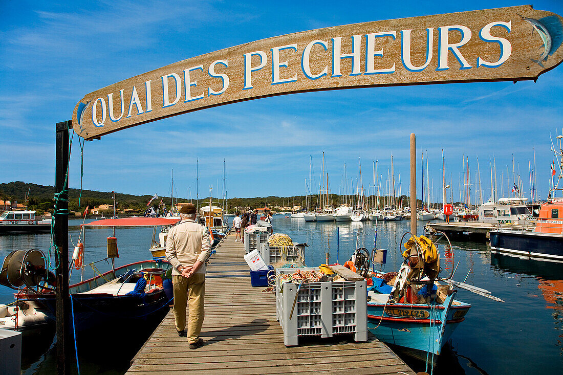 France, Var, Ile de Porquerolles, Porquerolles, the Quai des pecheurs (Fishermen's Wharf) on the harbour