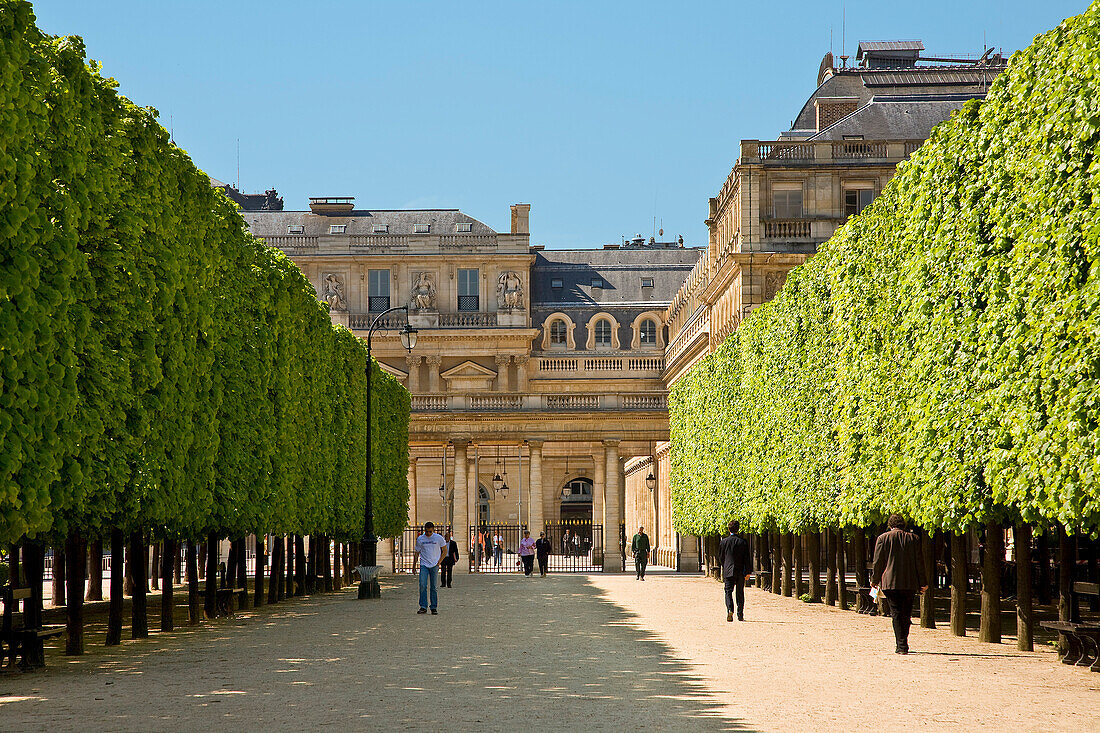 France, Paris, the Palais Royal garden redesigned by Le Notre in 1674 and his nephew Claude Desgots in 1730