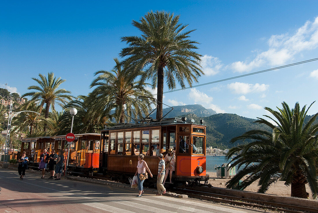 Spain, Balearic Islands, Majorca, Puerto Soller, the Orange Express tram dating of 1913 runningalong the coast than joining Soller after having crossed orange grove