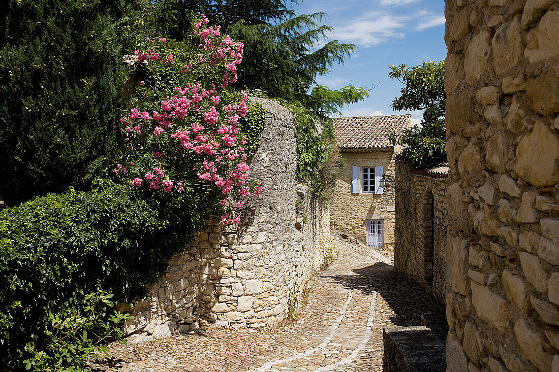 Frankreich, Gard, La Roque sur Cèze, etikettiert Die Schönsten Dörfer Frankreichs (Die schönsten Dörfer von Frankreich), einer schmalen Straße