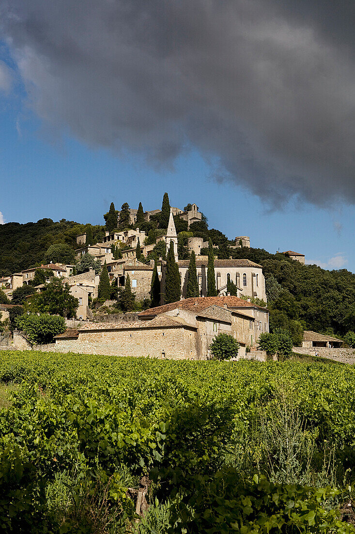 Frankreich, Gard, La Roque sur Cèze, etikettiert Die Schönsten Dörfer Frankreichs (Die schönsten Dörfer von Frankreich), das Dorf auf der Spitze des Felsens, am Fuße der Côtes du Rhône Weinberge