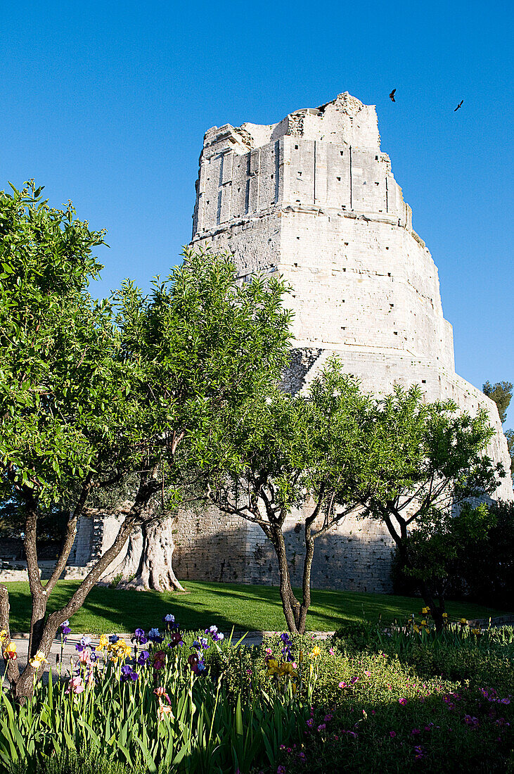 France, Gard, Nimes, la tour Magne (Magne Tower)