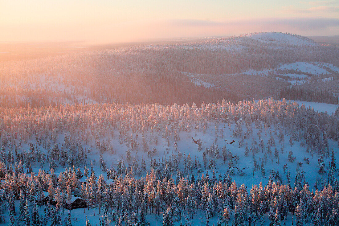 Finland, Lapland Province, Kuusamo, chalet in the taiga
