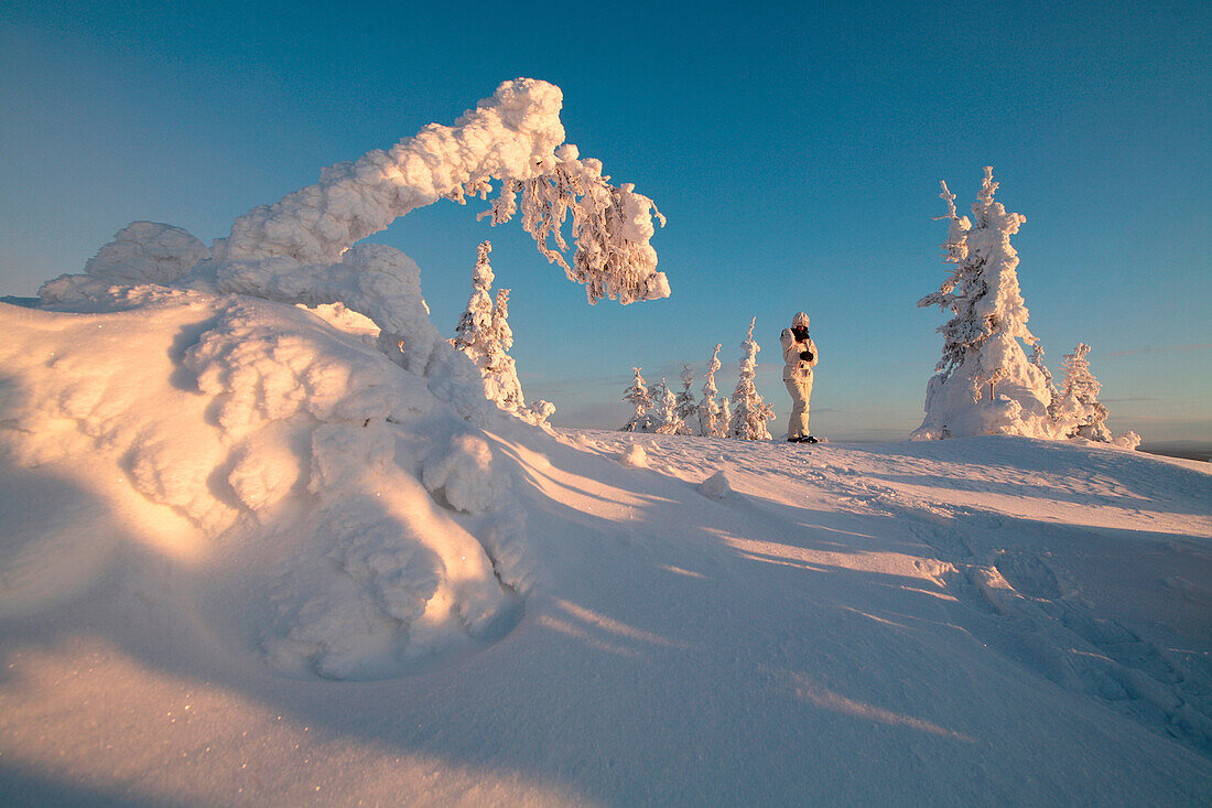 Finland, Lapland Province, Kuusamo, taiga, snowshoe hike