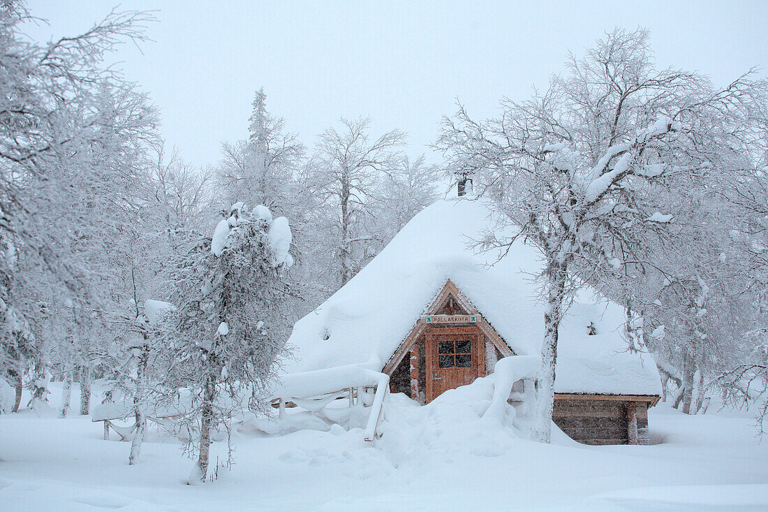 Finland, Lapland Province, Pallas Yllästunturi National Park, open wilderness hut