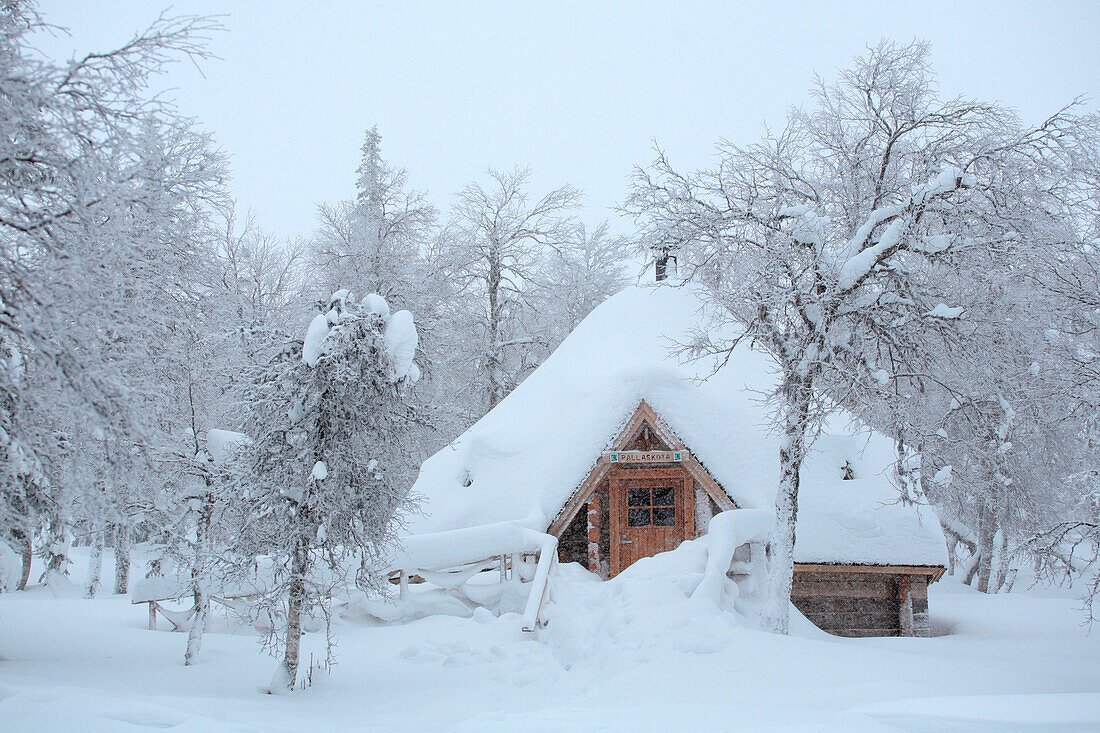 Finnland, Lappland Provinz, Pallas Yllästunturi Nationalpark, offene Wildnishütte