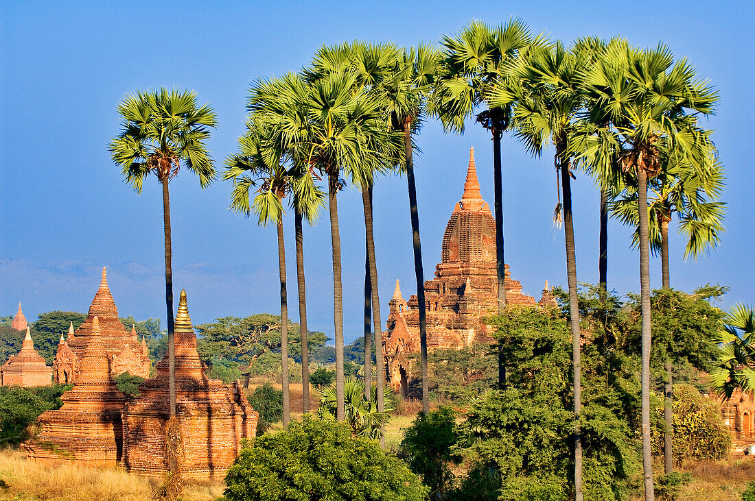 Myanmar (Burma), Mandalay Division, Bagan (Pagan), Old Bagan, brick built pagoda