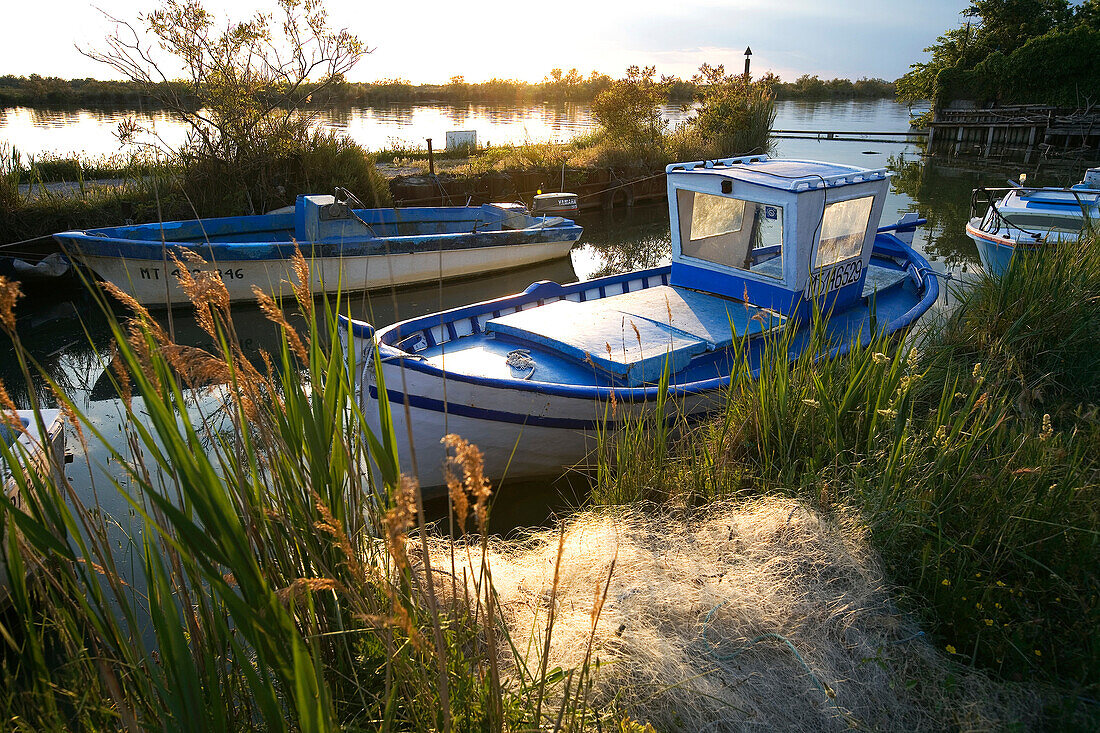 France, Bouches du Rhone, Camargue, Petit Rhone River near Saintes Maries de la Mer