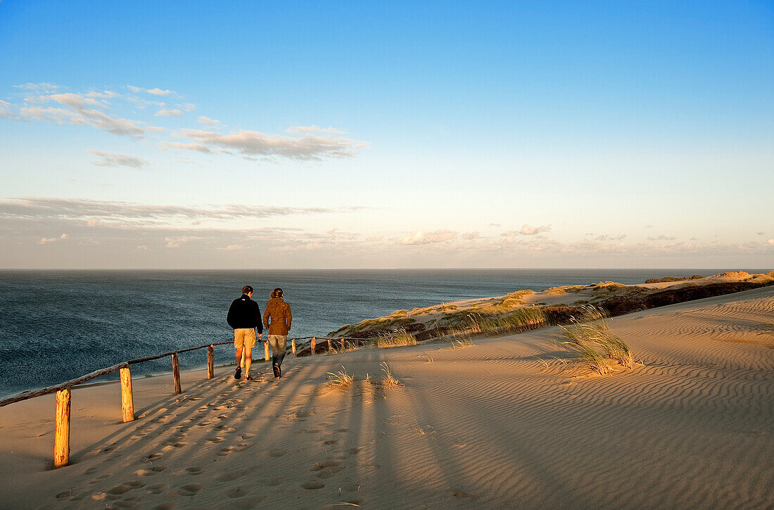 Lithuania (Baltic States), Klaipeda County, Curonian Spit, national park, sand dune of Parnidis, listed as World Heritage by UNESCO