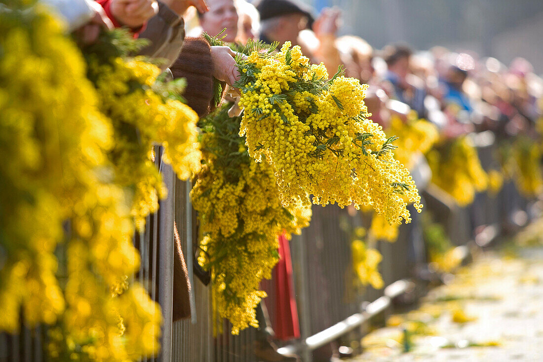 Frankreich, Alpes Maritimes, Mandelieu-la-Napoule, Mimosa Festival, Zuschauer