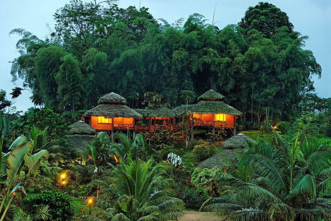 Ecuador, Pichincha Province, Pedro Vicente Maldonado, Arasha Resort Lodge liegt genau auf dem Äquator gibt es 35,000 vegenal Arten, aus denen 50% Endemiten sind