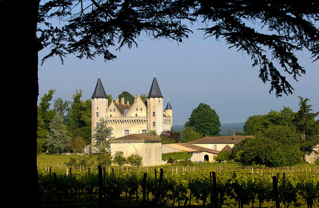 France, Gironde, Saint Germain du Puch, Bordeaux vineyard and Entre Deux Mers, AOC Bordeaux Bordeaux Superior vineyard and Chateau du Grand Puch