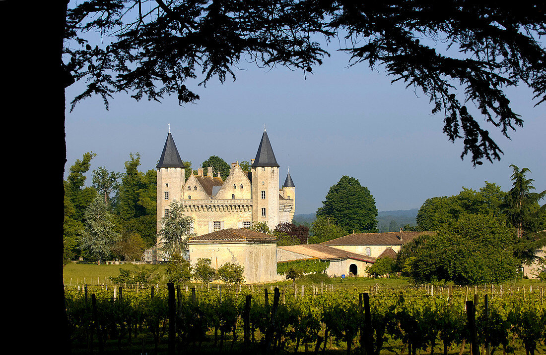 Frankreich, Gironde, Saint Germain du Puch, Bordeaux Weinberg und Entre Deux Mers, AOC Bordeaux Bordeaux Superior-Weinberg und Château du Grand Puch