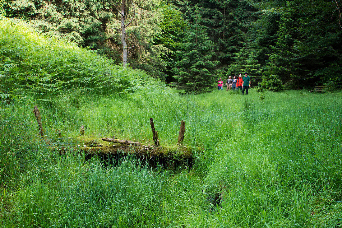 Eine Gruppe Wanderer in einer Wiese an der Elsavaquelle. nahe Mespelbrunn, Räuberland, Spessart-Mainland, Bayern, Deutschland