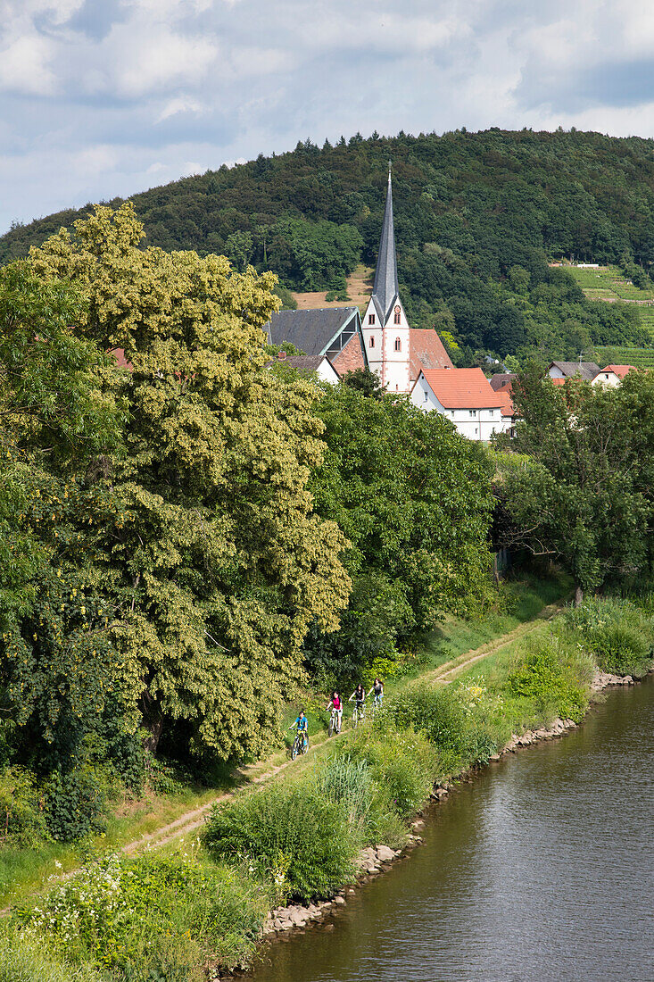 People ride bicycles on Mainradweg cycling path along Main river, Erlenbach am Main, Spessart-Mainland, Bavaria, Germany