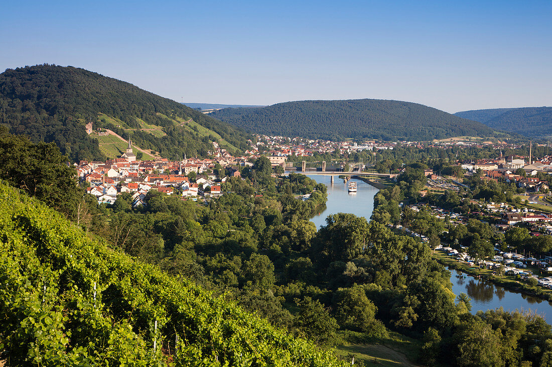 View across vineyard to Klingenberg am Main along Main river, Erlenbach am Main, Spessart-Mainland, Bavaria, Germany
