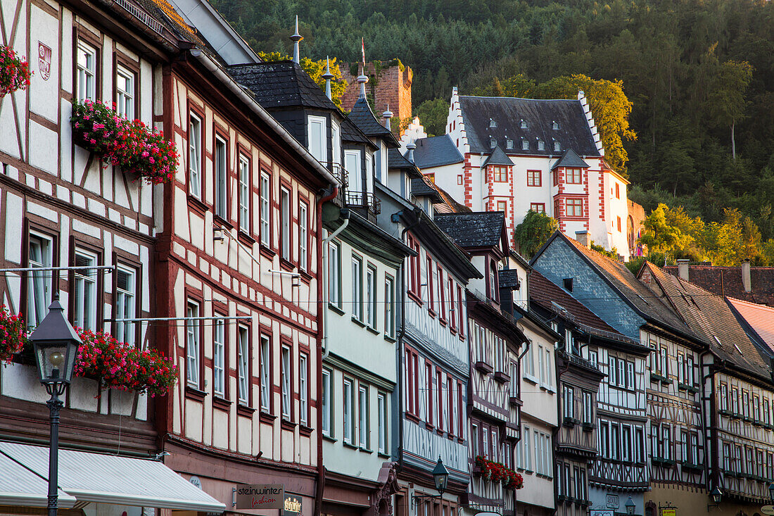 Half-timbered houses in Altstadt old town, Miltenberg, Spessart-Mainland, Bavaria, Germany