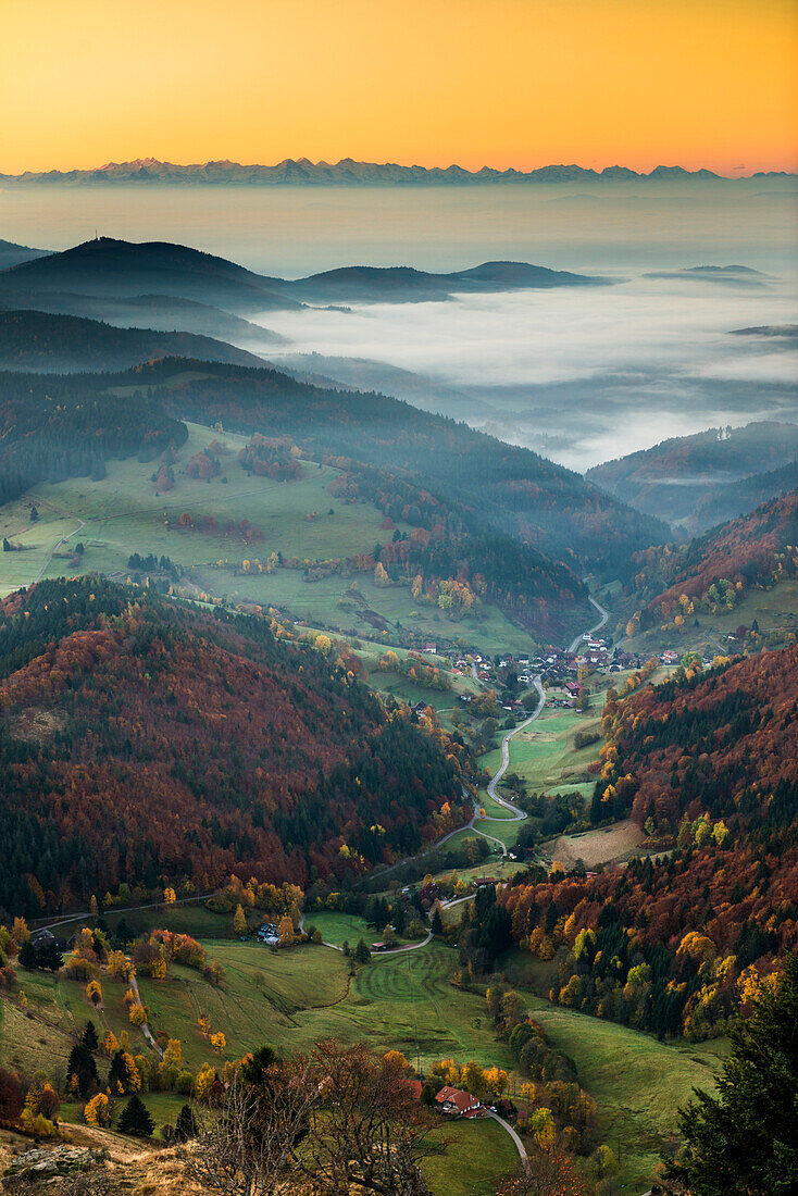 View from the Belchen south on the Wiesental valley and the Swiss Alps, morning atmosphere with fog, autumn, Black Forest, Baden-Wuerttemberg, Germany