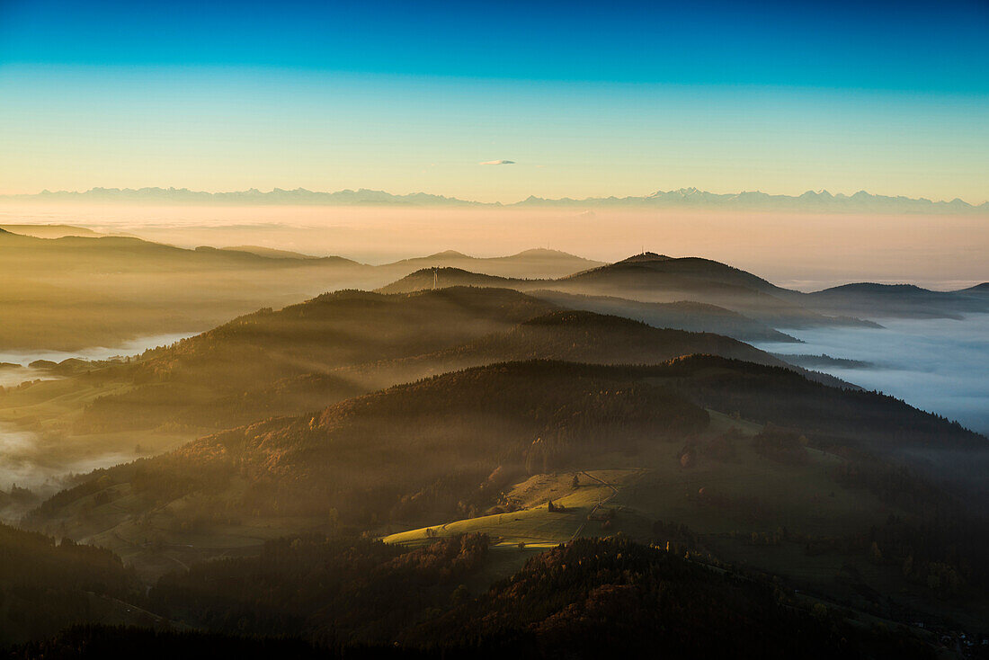 Ausblick vom Belchen Richtung Süden ins Wiesental und auf die Schweizer Alpen, Morgenstimmung mit Nebel, Herbst, Schwarzwald, Baden-Württemberg, Deutschland