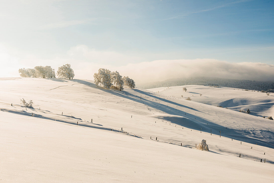 Schneebedeckte Landschaft, Schauinsland, Freiburg im Breisgau, Schwarzwald, Baden-Württemberg, Deutschland