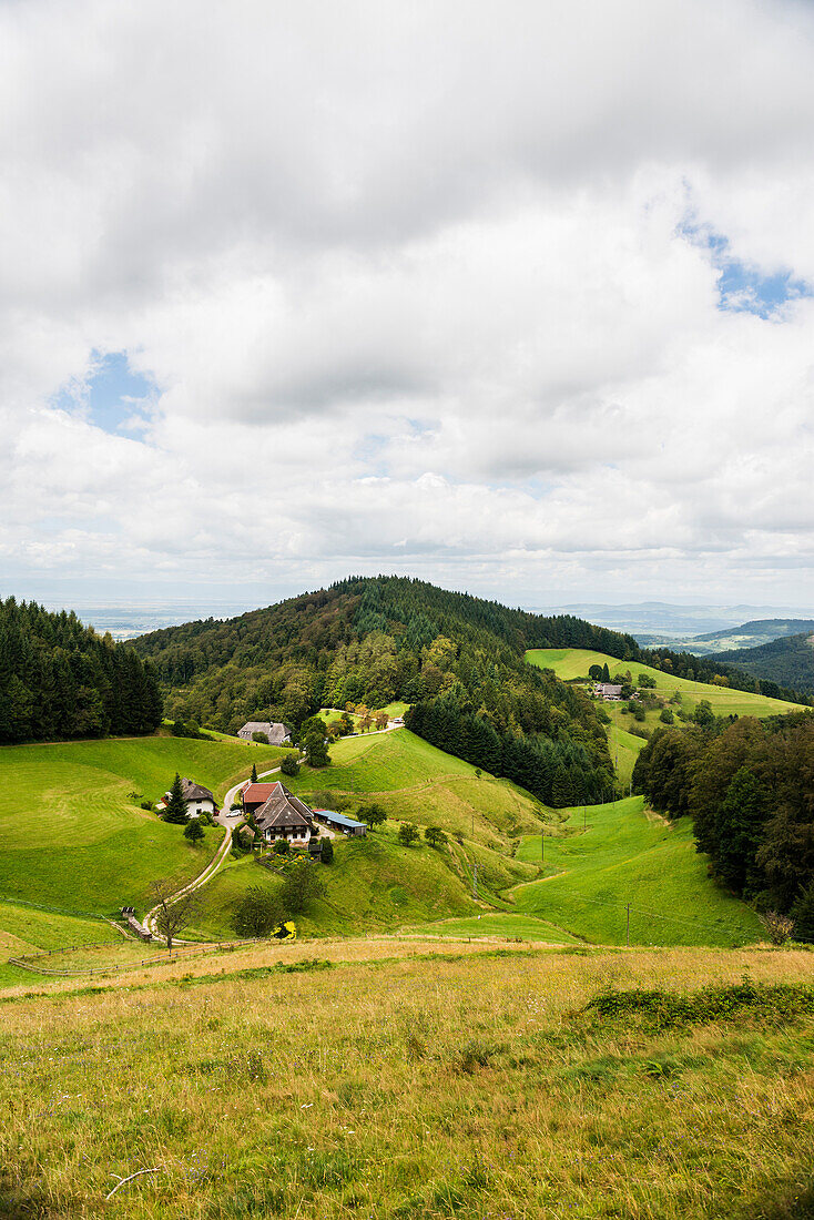 Kohlerhof, bei Freiburg im Breisgau, Schwarzwald, Baden-Württemberg, Deutschland