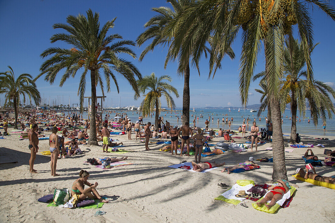 Palmen und relaxende Menschen am Strand Playa s'Arenal, s'Arenal, nahe Palma, Mallorca, Balearen, Spanien