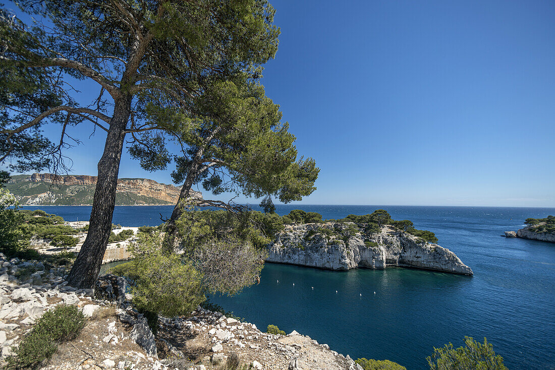 Felsen bei Port Miou, Calanques, Cassis, Frankreich