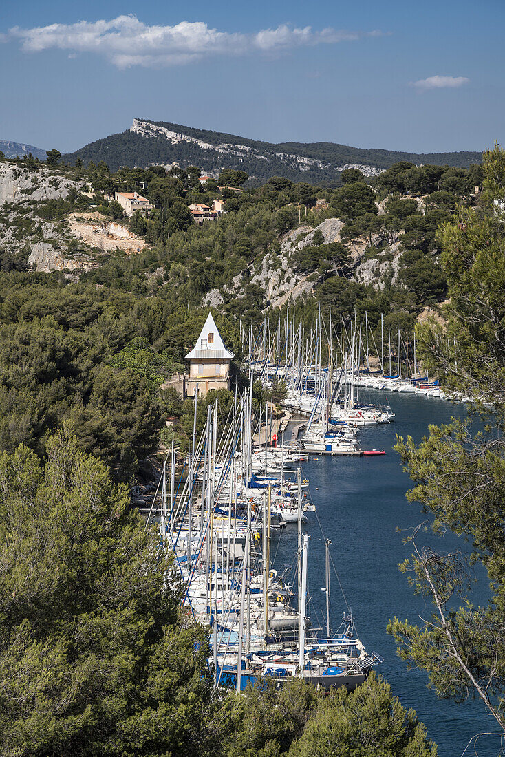 Marona, Port Miou, Calanque, Bouche du Rhone, France