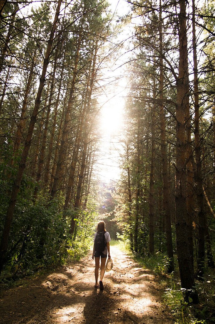 Caucasian woman walking on tree-lined forest path