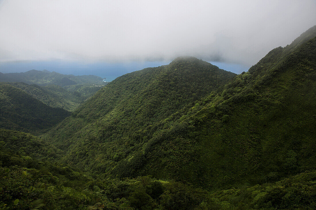 Fog over lush green mountains