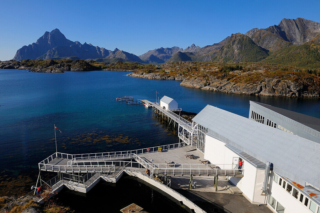 Norway, Nordland County, Lofoten Islands, Austvagoy Island, Kabelvag - Storvagen, Lofoten Aquarium (Lofotakvariet)