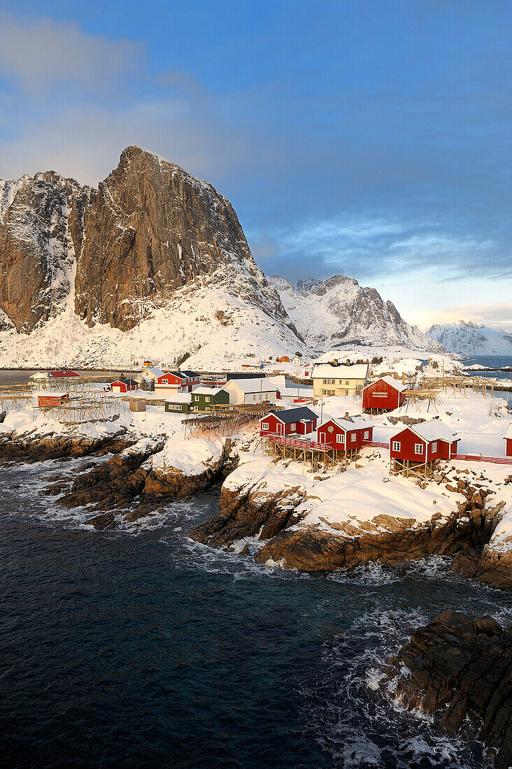 Norway, Nordland County, Lofoten Islands, Moskenes Island, Hamnoy fishing harbour nearby Reine, hanging cod-fish for drying
