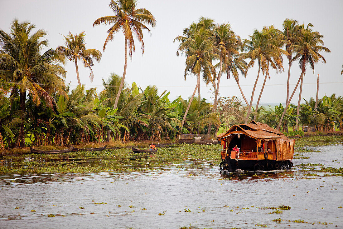 India, Kerala State, Allepey, the backwaters, houseboat on the canals