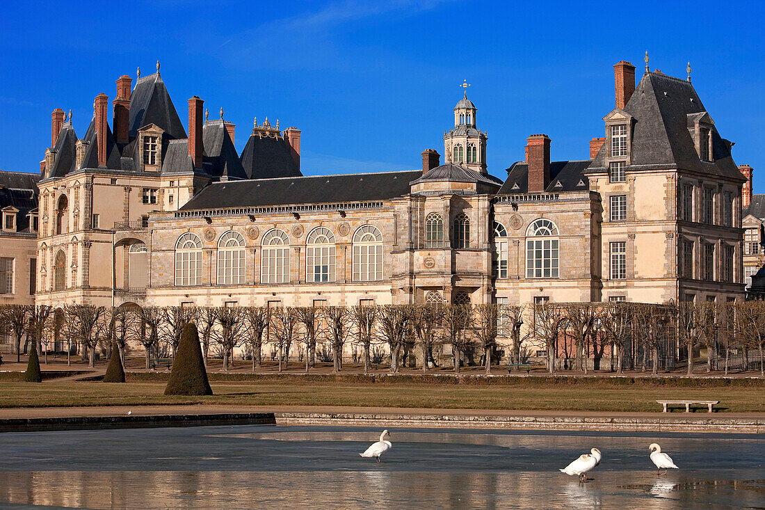 France, Seine et Marne, Fontainebleau, the Royal Castle, listed as World Heritage by UNESCO, the great basin