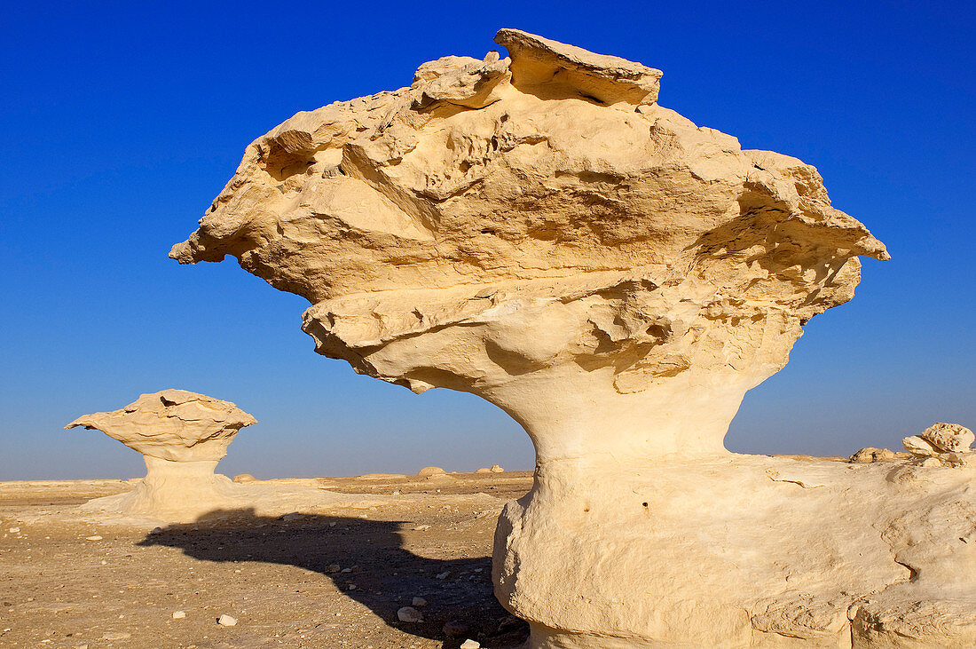 Egypt, Libyan Desert, Farafra, White Desert National Park