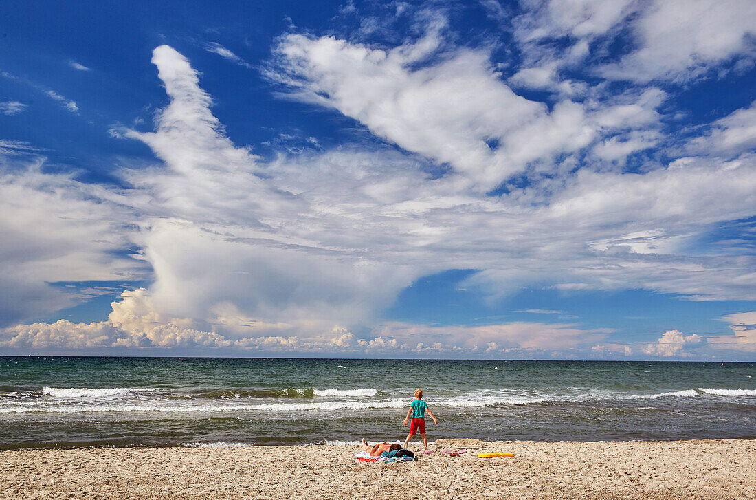 Beach along the Baltic sea coast, Mecklenburg-Vorpommern, Germany