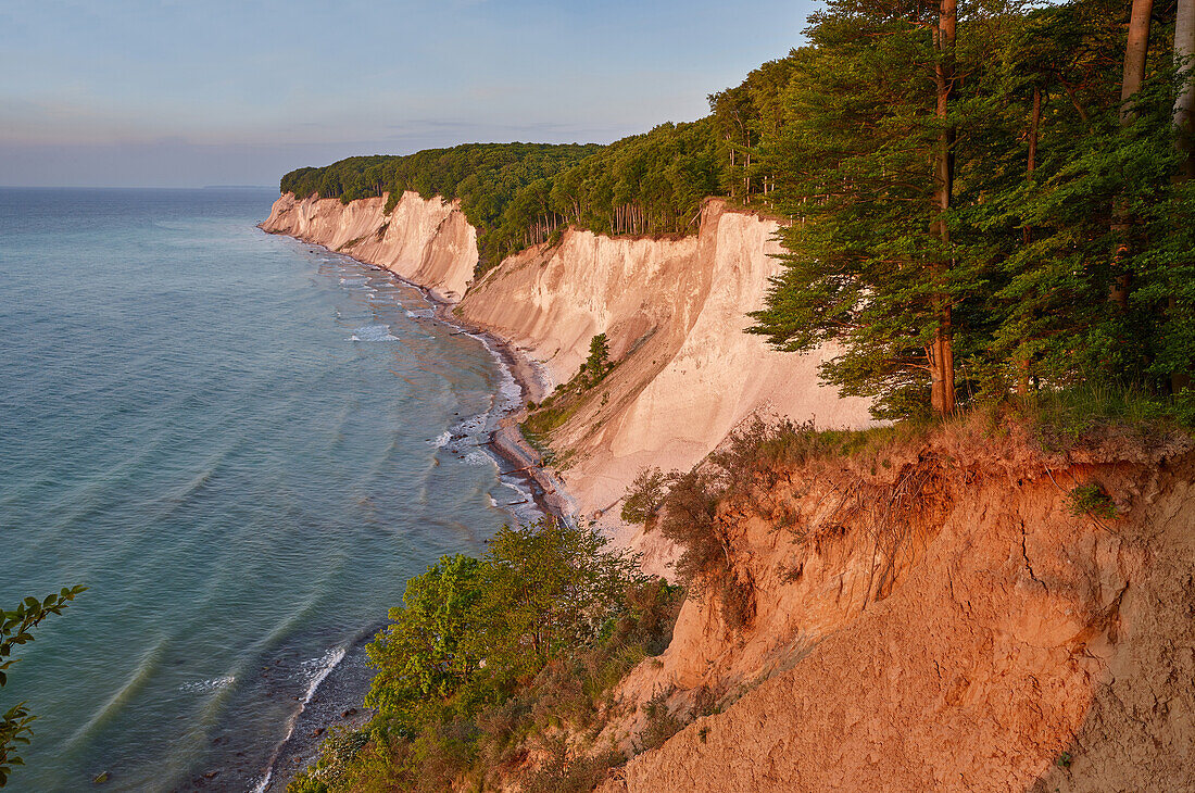 Chalk cliffs, cretaceous coast in Jasmund national park, Ruegen island, Mecklenburg Vorpommern, Germany