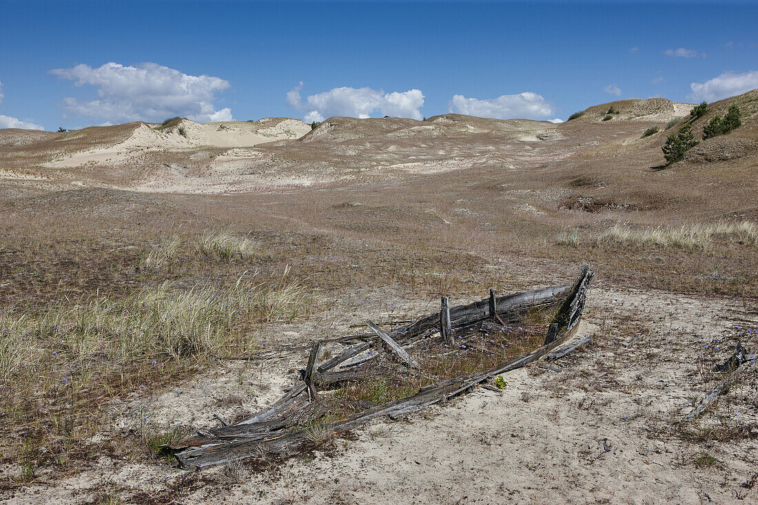 Dünen bei Pervelka, Kurische Nehrung, Litauen, Europa