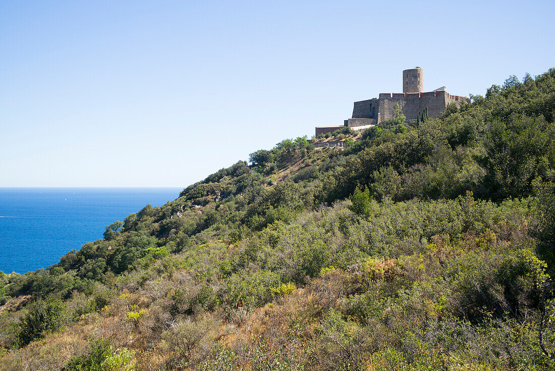 Burg Saint Elme, Collioure, Côte Vermeille, Mittelmeer, Pyrénées Orientales, Occitanie, Languedoc-Roussillon, Frankreich