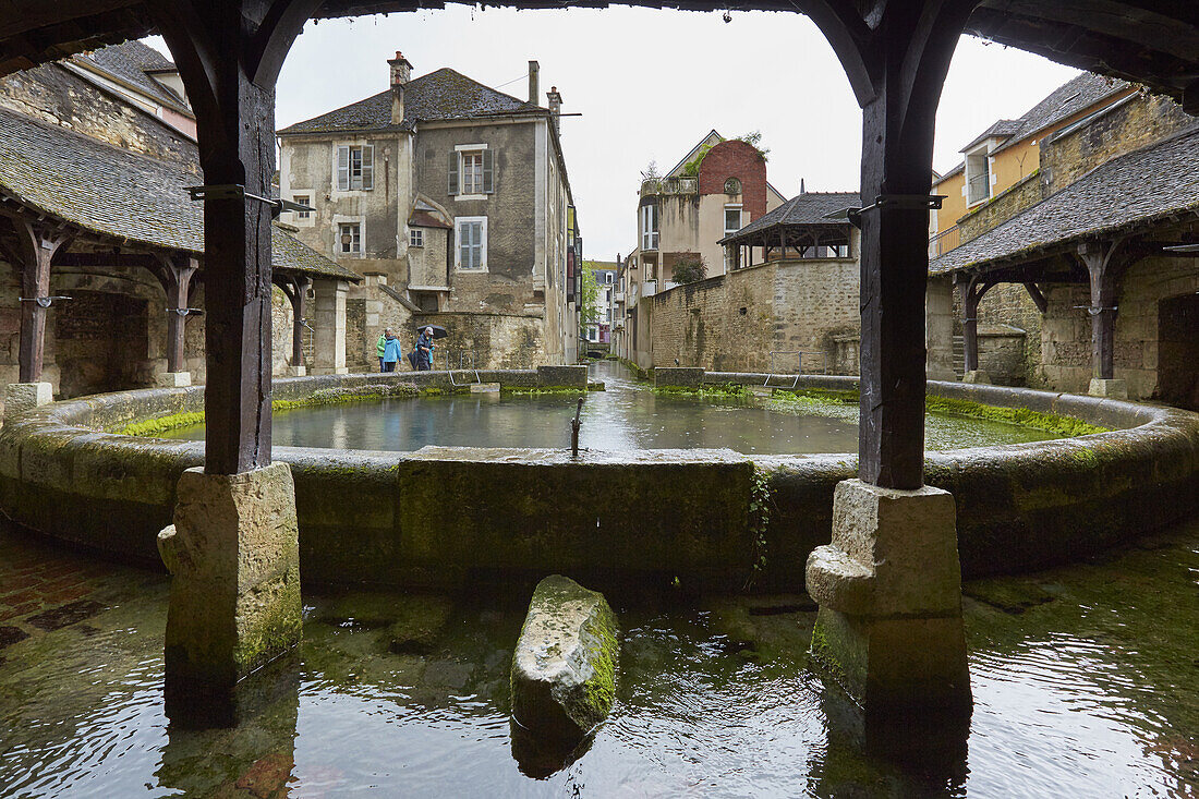 Fosse Dionne in Tonnerre , Quellbecken und Waschhaus 1758 , Canal de Bourgogne , Dept. Yonne , Region Burgund , Frankreich , Europa