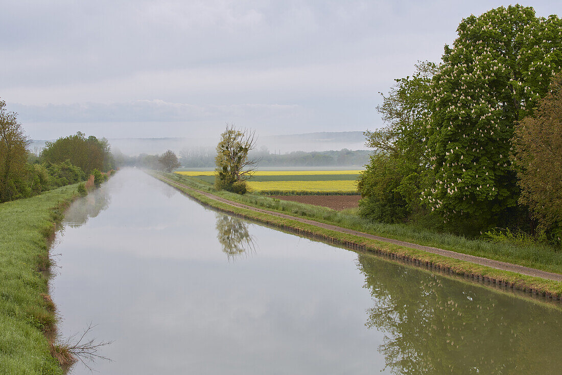 Morning mist at the Canal de Bourgogne near Tanlay , Departement Yonne , Burgundy , France , Europe