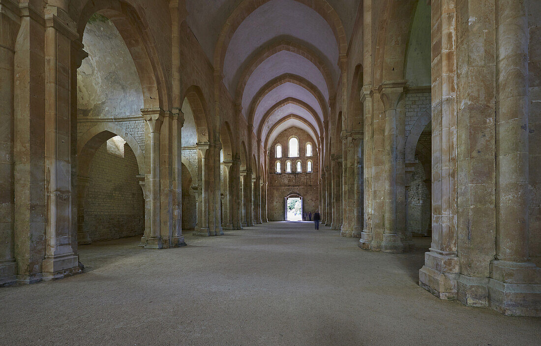 Kirche der Abbaye de Fontenay bei Montbard , Canal de Bourgogne , Dept. Côte-d'Or , Region Burgund , Frankreich , Europa