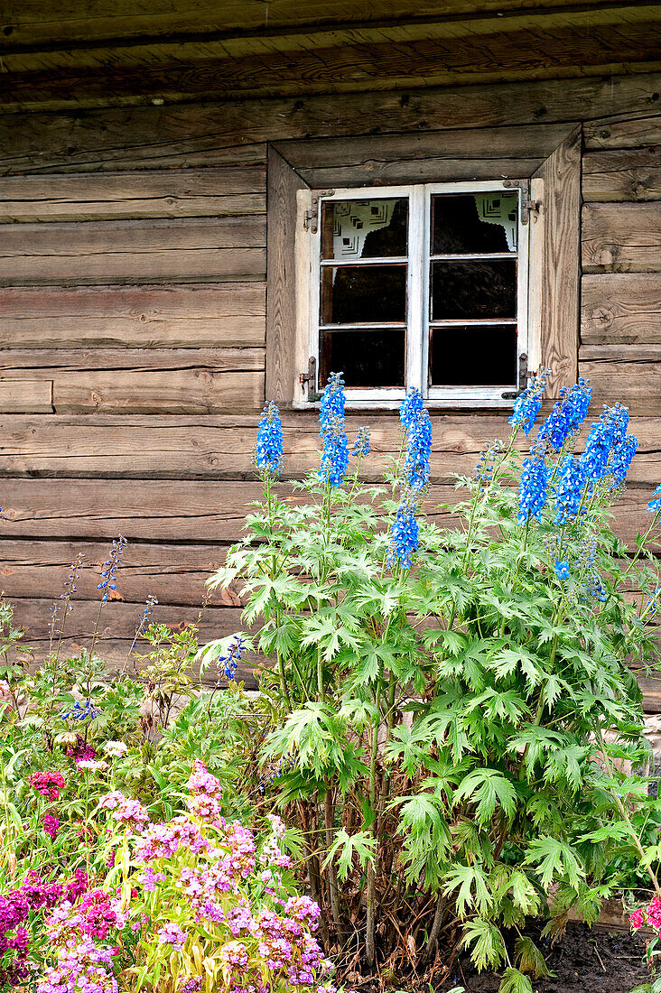 Lithuania (Baltic States), Kaunas County, Rumsiskes, Open air ethnographic museum